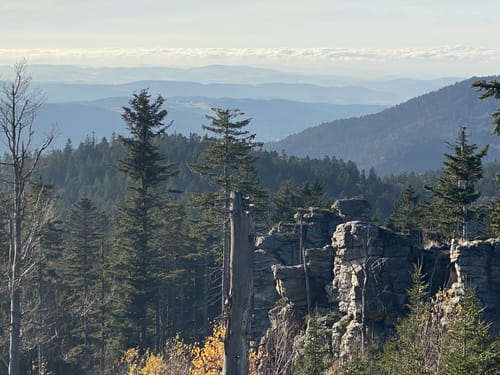 Falkenstein Runde