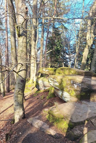 Kirkeler Tafeltour (Premiumwanderweg)