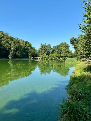 Schlosspark Glauchau