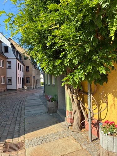 Schlosspark Glauchau