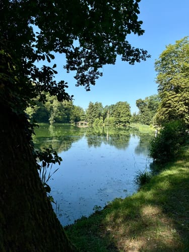 Schlosspark Glauchau