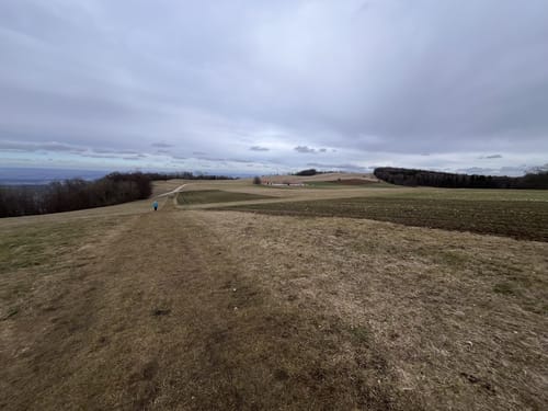 HOCHGEHBERGE I "hochgeflogen" (Premiumwanderweg)