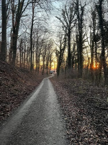 Weinheim Runde
