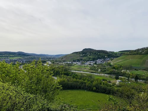 Ahrsteig Etappe 7: Bad Neuenahr Mitte - Sinzig