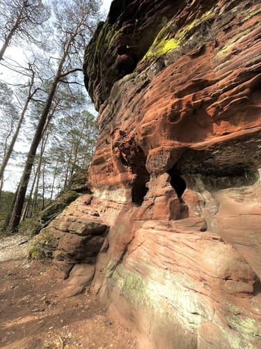 Dahner Felsenpfad (Premiumwanderweg)
