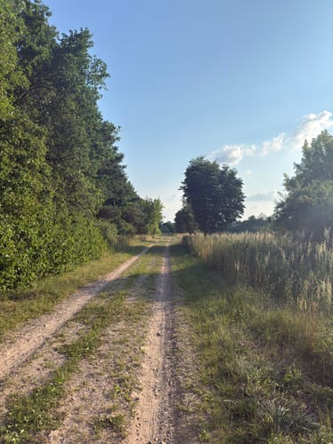 Von Prenzlauer Berg über die Schönower Heide