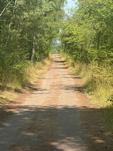 Von Prenzlauer Berg über die Schönower Heide