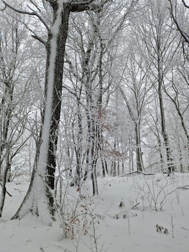 Teutoburger Wald, Schornstein und Hollandskopf