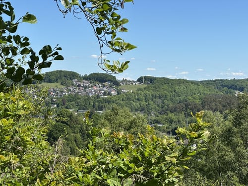 Durch den Königsforst zum Tütberg