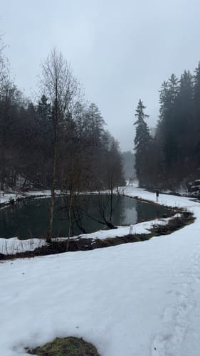 Felsengarten Klumpertal (Naturlehrpfad - schwarzer Ring)