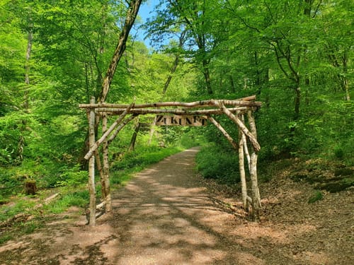 Morgenbachtal Rundweg ab Burg Rheinstein