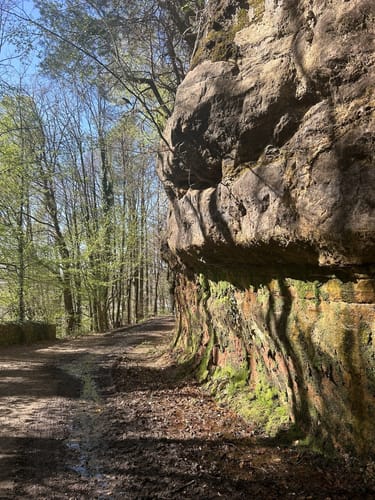 Kirkeler Tafeltour (Premiumwanderweg)
