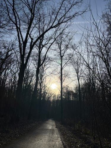 A1: Aaper-Wald-Runde