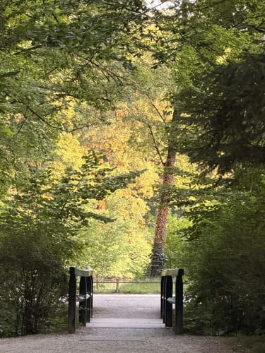 Kleinhesseloher See Runde