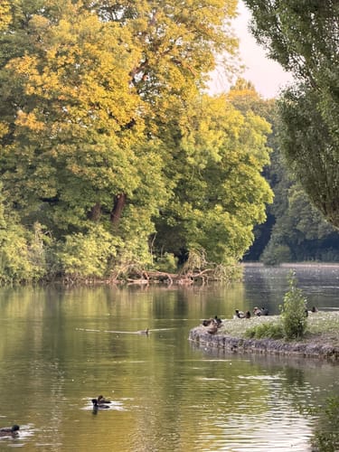 Kleinhesseloher See Runde