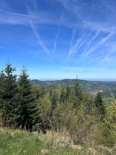 Westweg Etappe 2: Dobel - Forbach