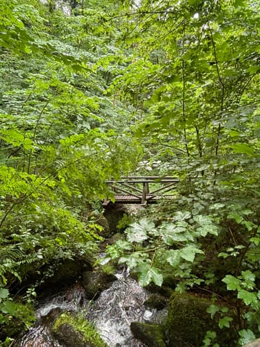 Entlang der Gaishöll Wasserfälle
