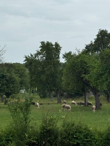 Von Herbrechtingen durchs Eselsburger Tal