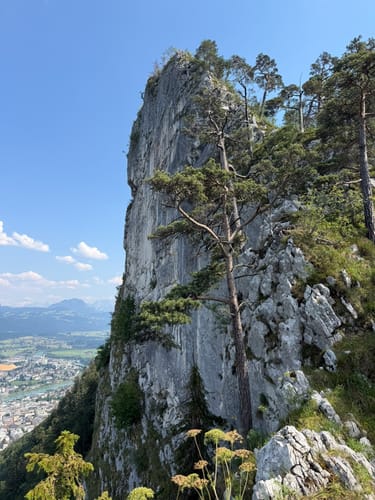 Marktschellenberg - Großer Barmstein