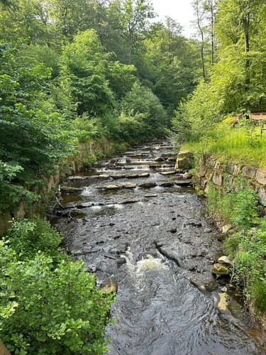 Durch das Ilsetal zur Plessenburg