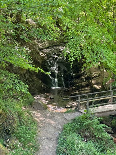 HeimatSpur Erlebnisweg Ritter-Räuber-Römer (Bad Bertrich)