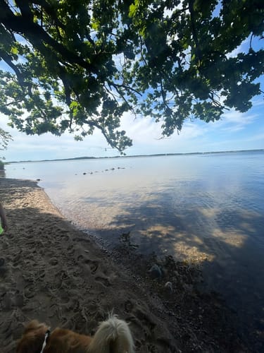 Usedoms Südspitz Gnitz