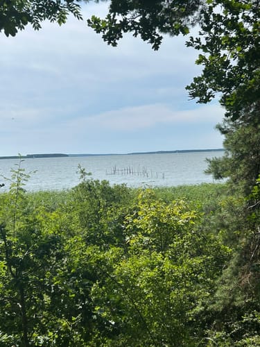 Usedoms Südspitz Gnitz