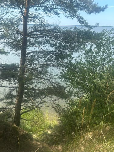 Usedoms Südspitz Gnitz