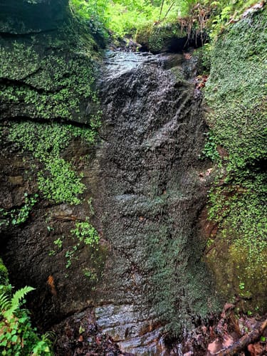 Ensheimer Brunnenweg (Premiumwanderweg)