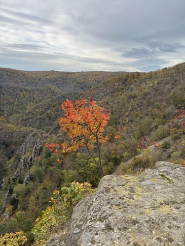 Bülowhöhe - Rosstrappe - Goethe-Felsen