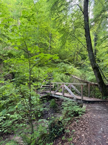 Von Hödingen nach Überlingen