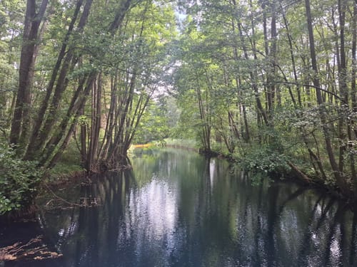 Großer Stechlinsee Runde