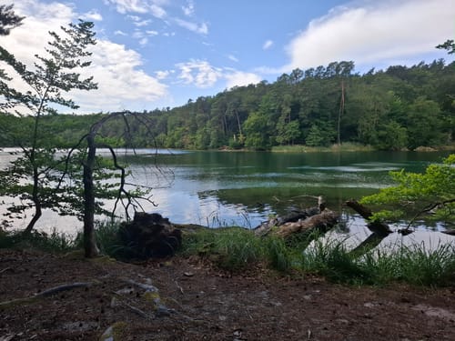 Großer Stechlinsee Runde