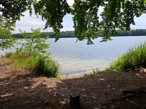 Großer Stechlinsee Runde
