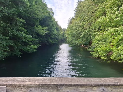 Großer Stechlinsee Runde