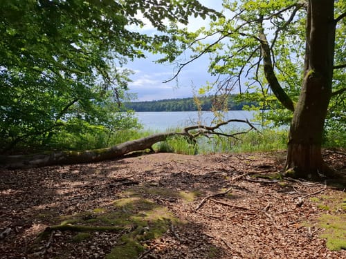 Großer Stechlinsee Runde