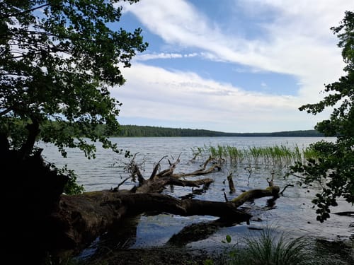 Großer Stechlinsee Runde