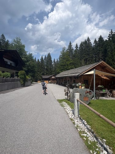 Triendlweg-Bauernwald (535)