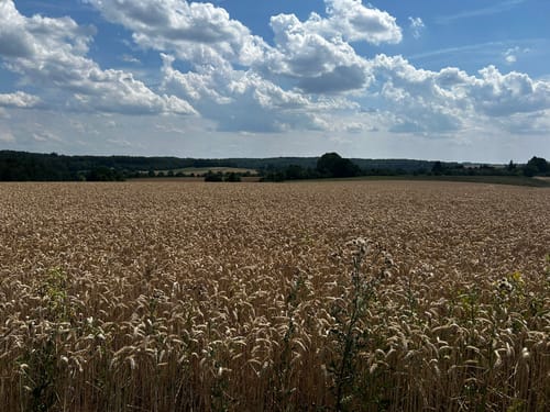 Laubach Panoramaweg