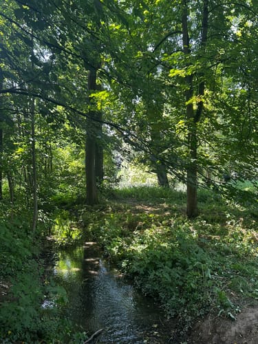 Laubach Panoramaweg