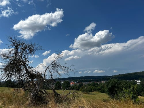 Laubach Panoramaweg