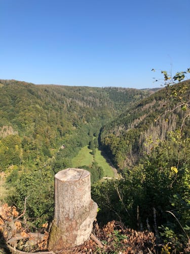 Dreitälerblick - Ilfelder Wetterfahne von Ilfeld