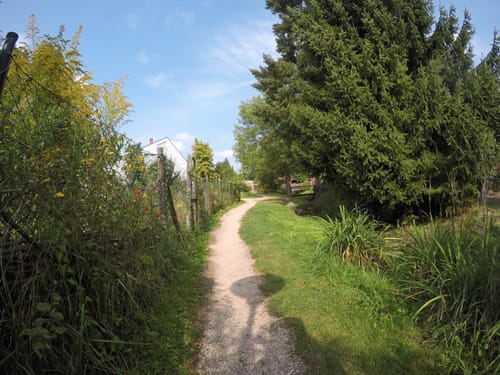 Rund um die Kleine Kalmit