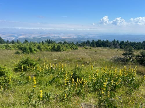 Schierke und Brocken über Eckerlochstieg