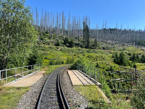 Schierke und Brocken über Eckerlochstieg