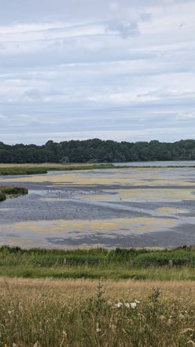 Rund ums Alfsee-Reservebecken