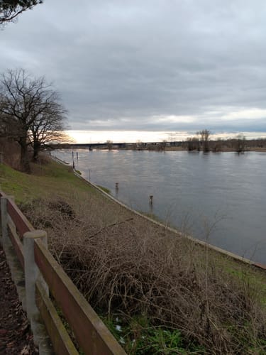 Burg - Magdeburg - Alt Lostau
