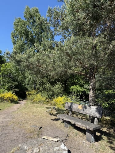 Zum Wildsaufelsen und dem Rotenstein