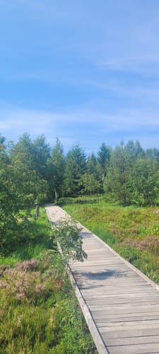 Höhenwanderung: Plankopf - Schliffkopf - Schweinkopf