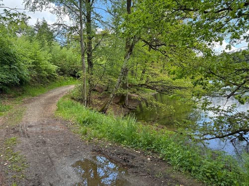 Rund um die Bevertalsperre